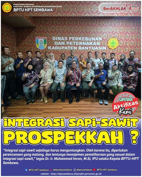 Integrasi Sapi - Sawit Prospekkah ?