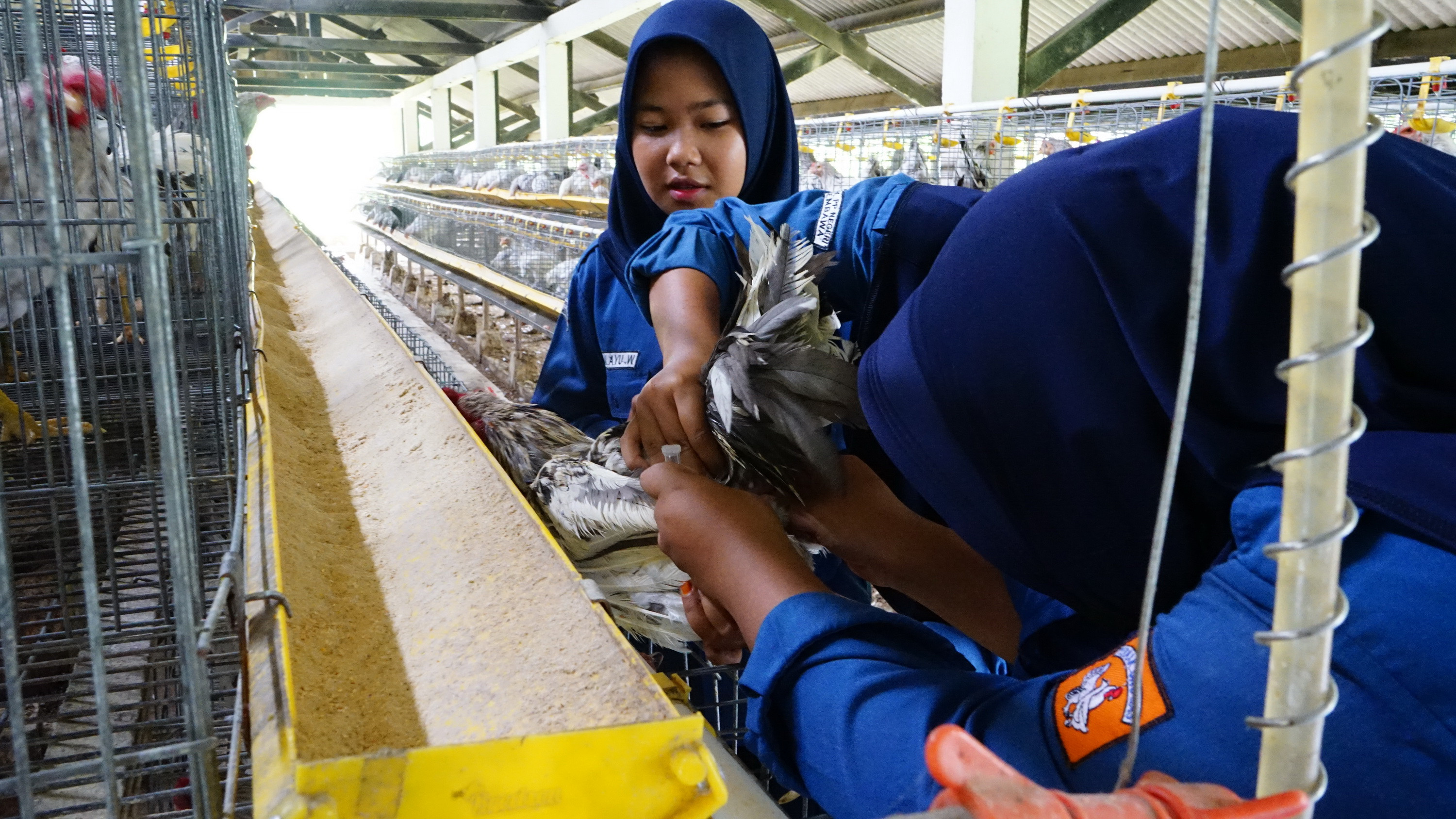 Ujian Magang Siswa SMK PP Negeri Sembawa