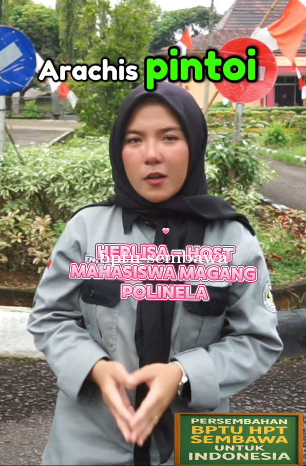 BPTU HPT Sembawa Luncurkan Episode 15 Serial Video Edukasi Peternakan