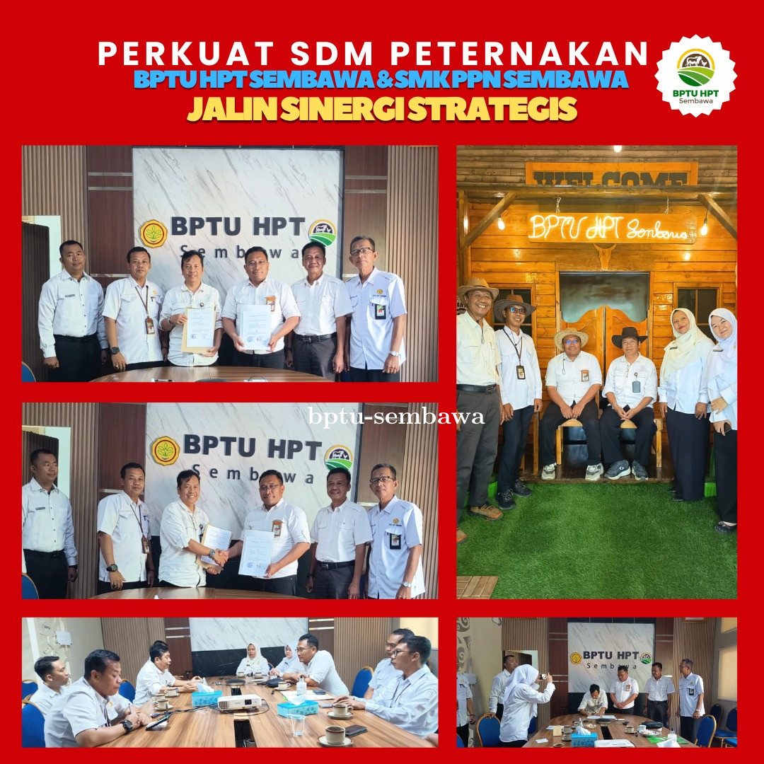 Perkuat SDM Peternakan, BPTU HPT Sembawa dan SMK PPN Sembawa Jalin Sinergi Strategis